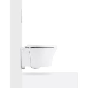 wall hung toilet